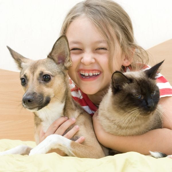 Pet Friendly Cleaning